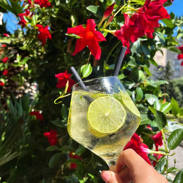 instagram-image-2